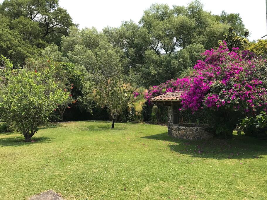 Jardin