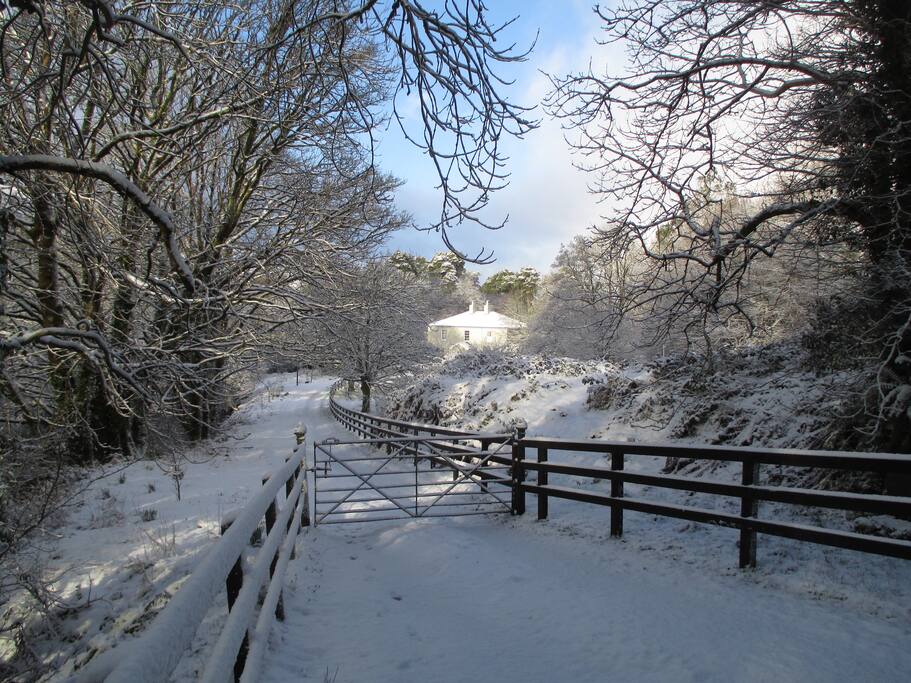 Winter