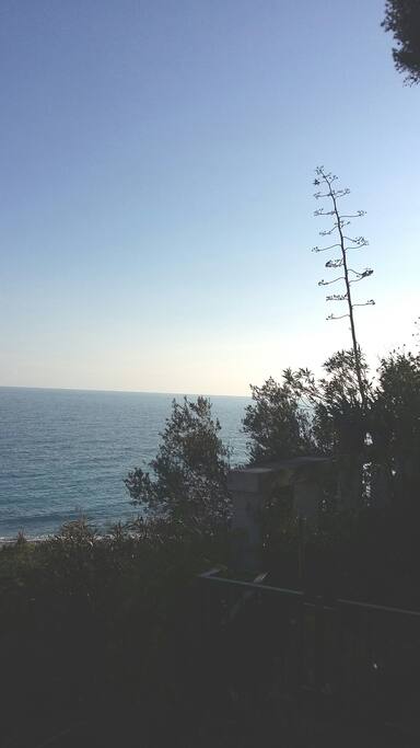 vista dalla casa