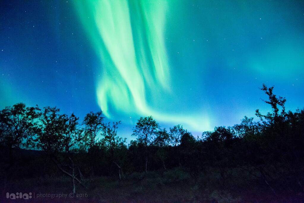 Vi kan ikke gi nordlys-garanti, men når værforholdene ligger til rette er det et spektakulært syn!