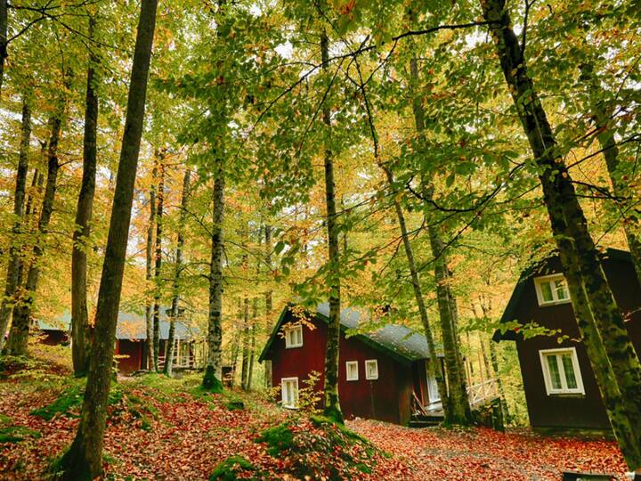 yedigoller vacation rentals homes bagislar turkey airbnb