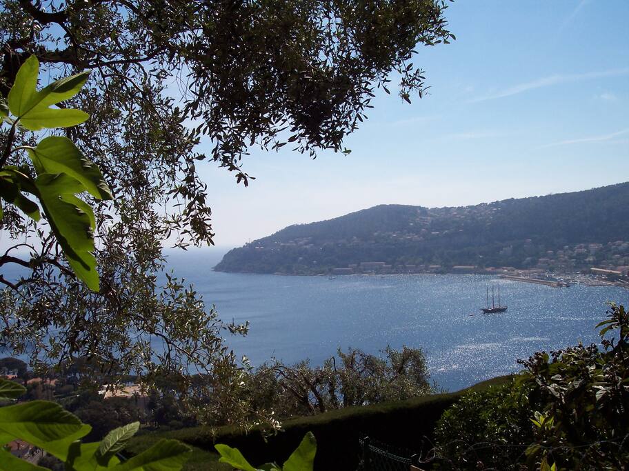 La vue depuis la terrasse