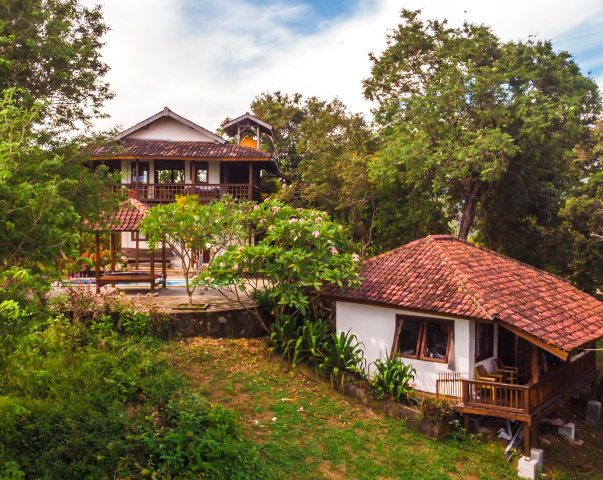 A dual dwelling setup is displayed, featuring a traditional house with a red-tiled roof adjacent to a larger, multi-level structure surrounded by lush greenery. Outdoor areas with plants and stone pathways enhance the serene atmosphere.