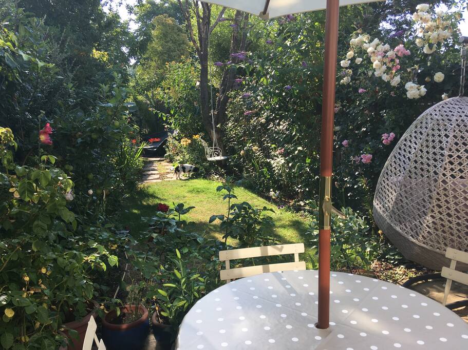 Garden eating in July