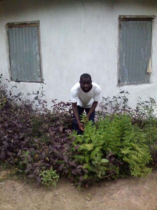 am in the garden