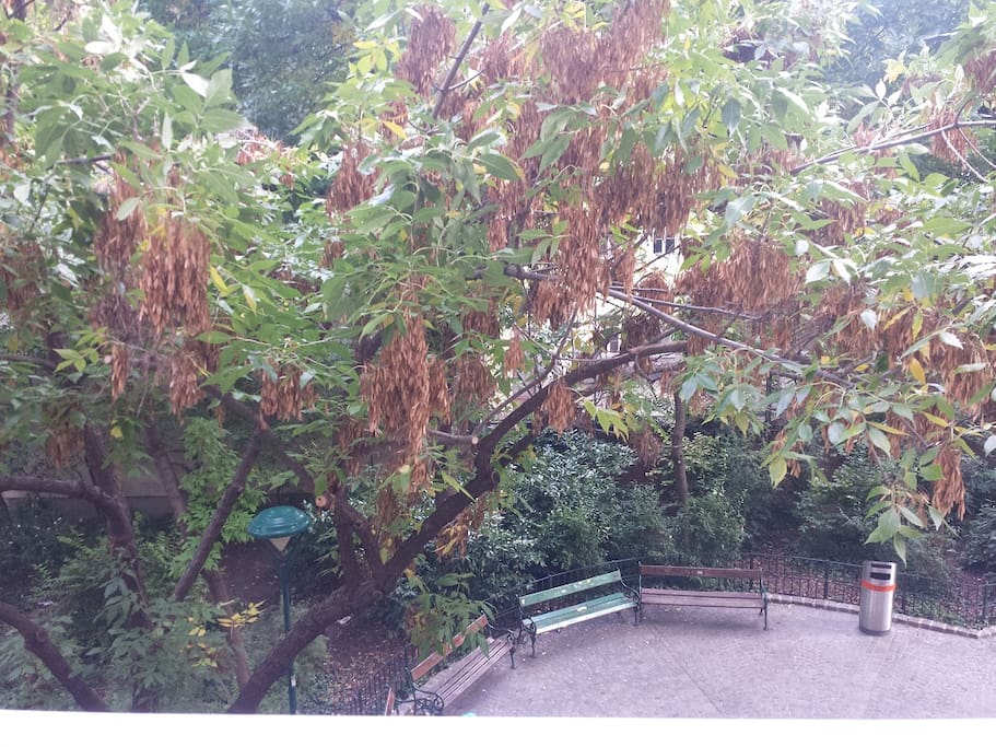 Blick vom Balkon