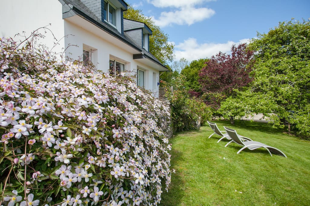 Jardin en fleurs