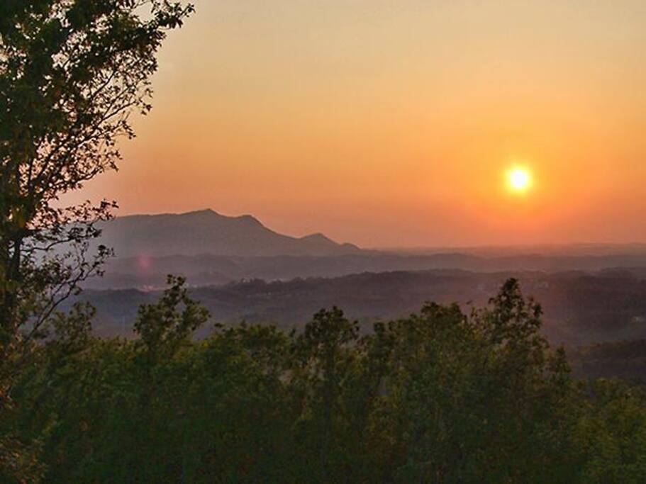 Summer View