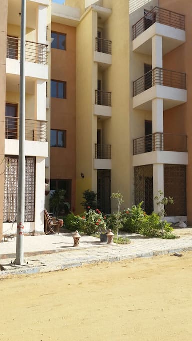 The building