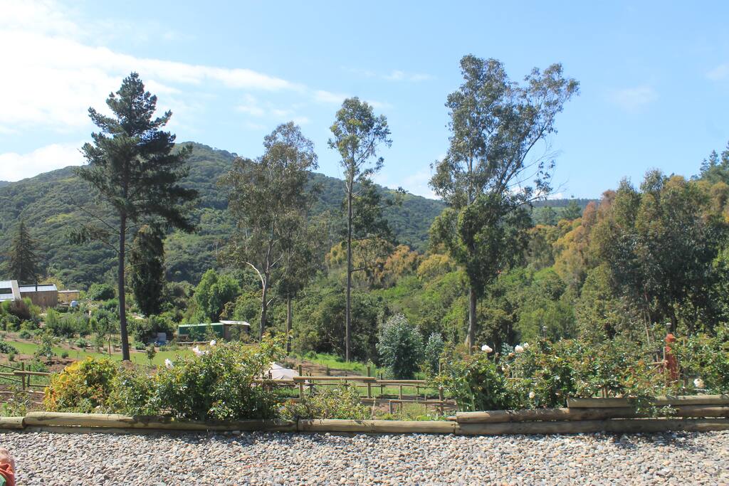 Vista desde la puerta