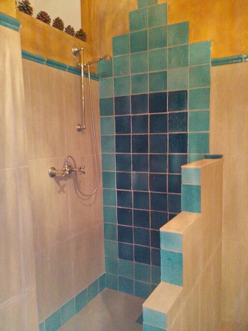 Walk in shower, main bathroom