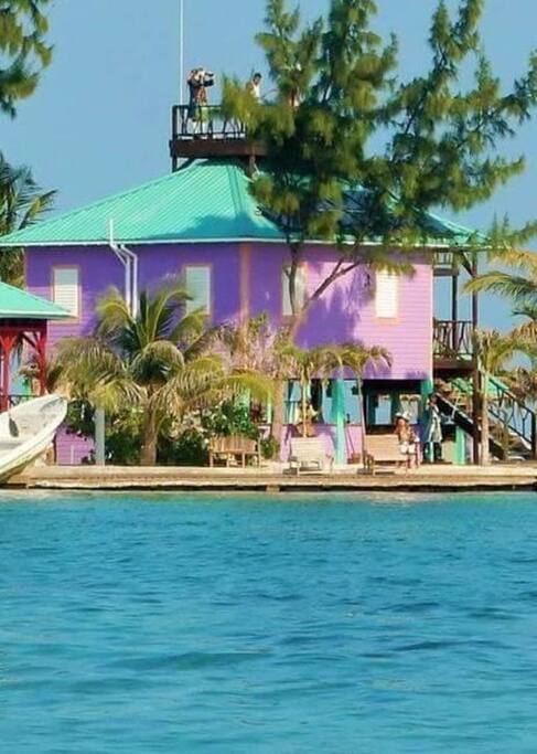 The Purple Octopus Suite