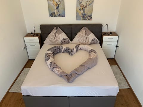 Central, bright & quiet 50 sqm apartment in Mödling