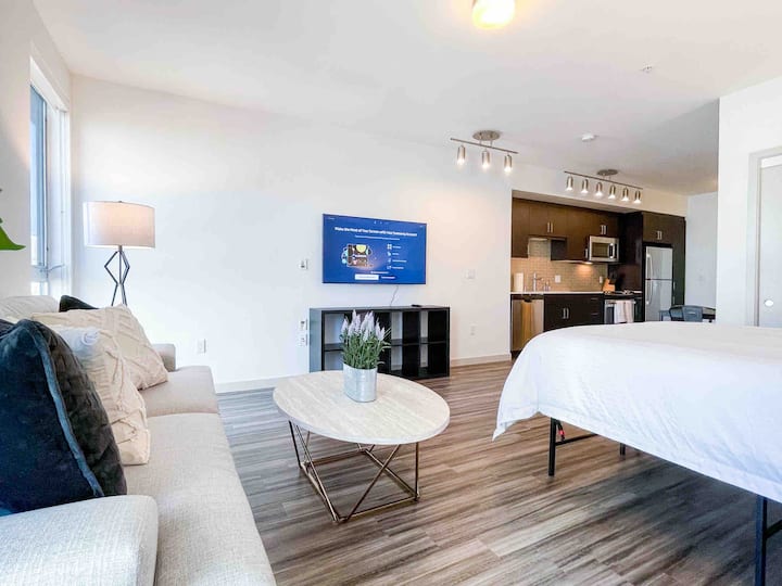 LA Convention Center Modern Apartment DTLA Apartments for Rent in