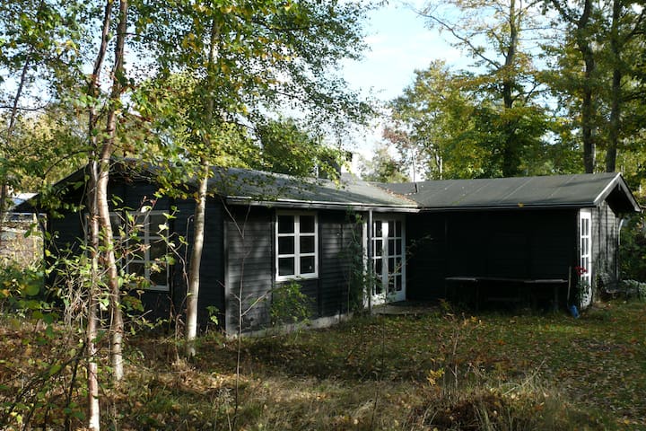 Romantic Wood Cabin Near Aarhus Cottages For Rent In Ega