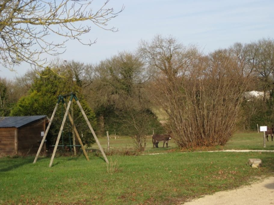 balançoire pour les enfants près de nos animaux (ânes,chèvres)