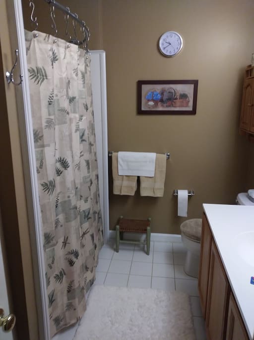 New Bath for Airbnb only
