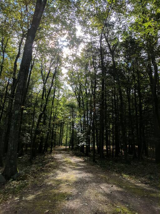 looking back down the driveway to where you came from... though right in the middle of the rural community, you very quickly feel you've gotten away from the world