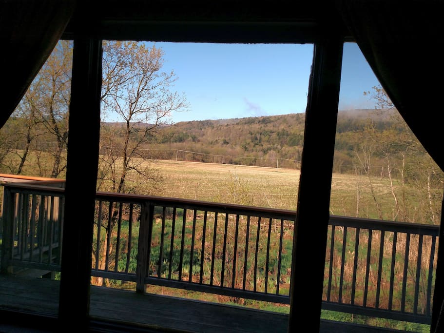 Morning View from Living Room