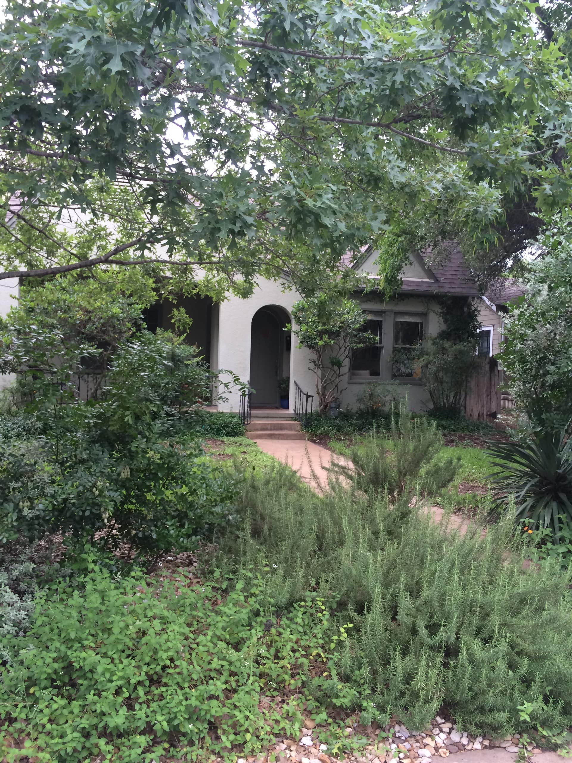 Charming Cottage near UT — foto 2