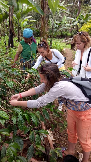 We have so many activities to do here like Coffee Tour and others