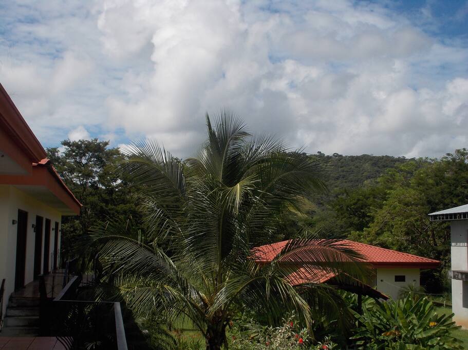 You can hear the Howler Monkeys having a great time from your front porch