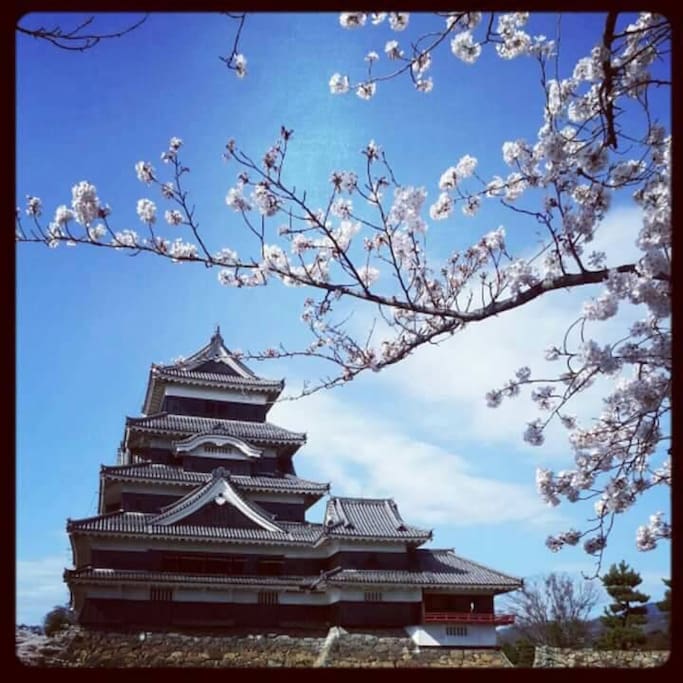 SAKURA and Matsumoto Castle.
Spring.