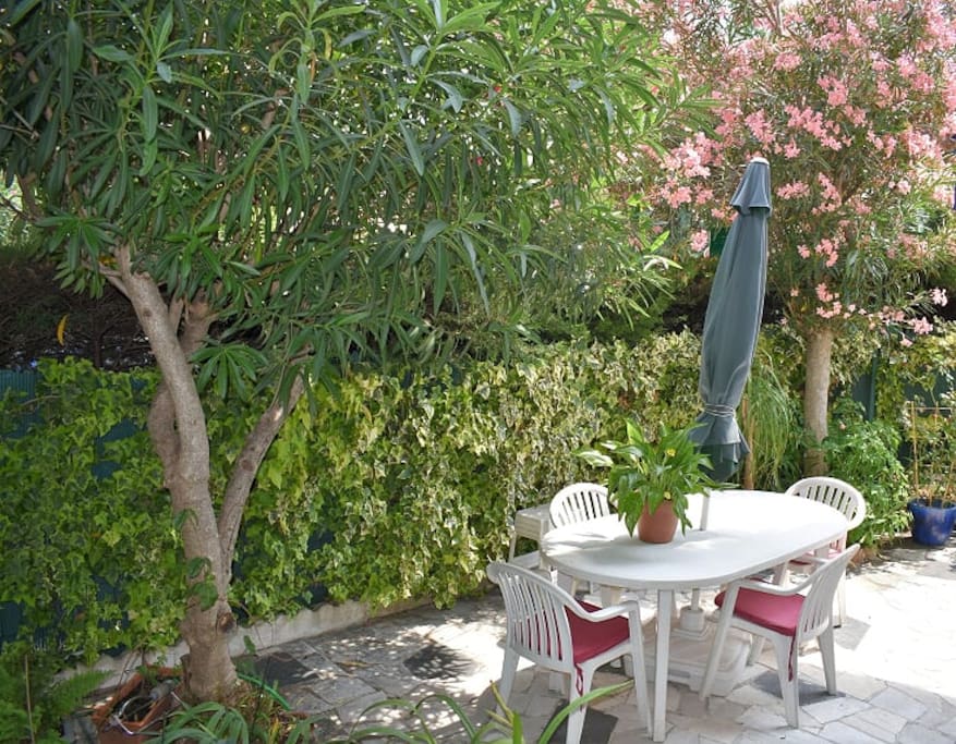 Charmant T2 rénové avec terrasse
