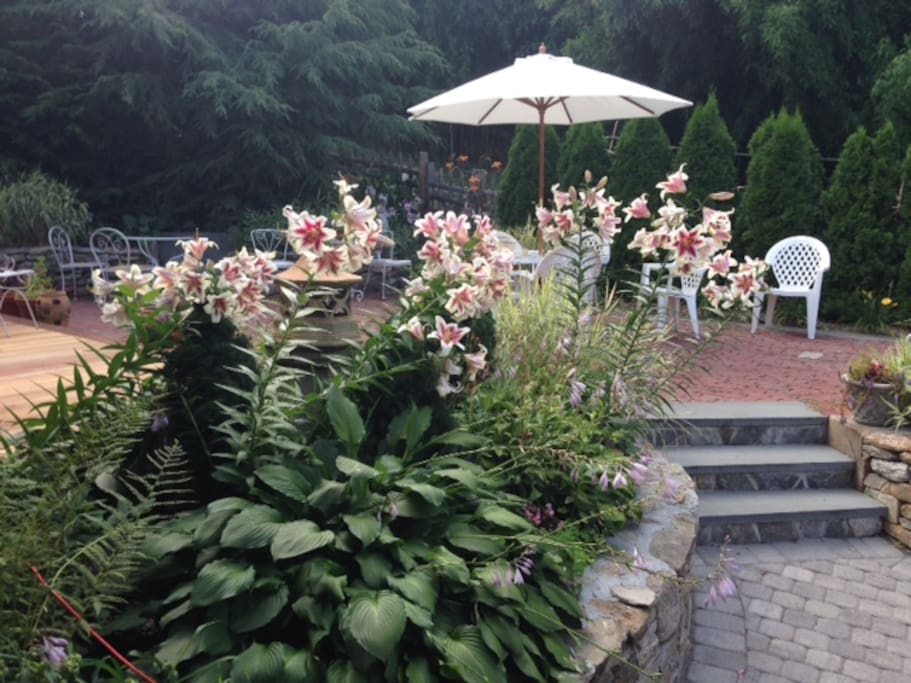 The summer garden at the House
