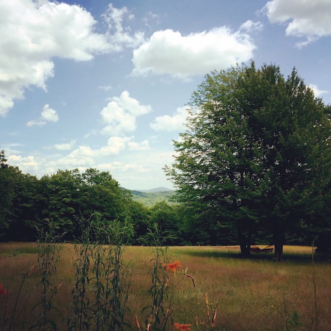 View from the porch in July.