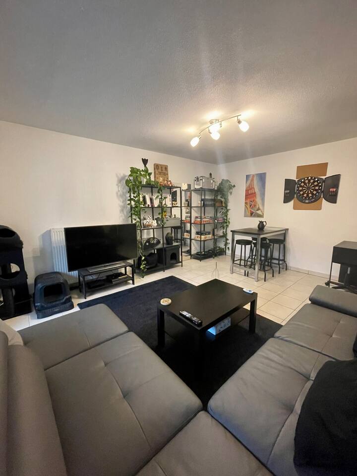 In the heart of the city and quiet Apartments for Rent in Saint