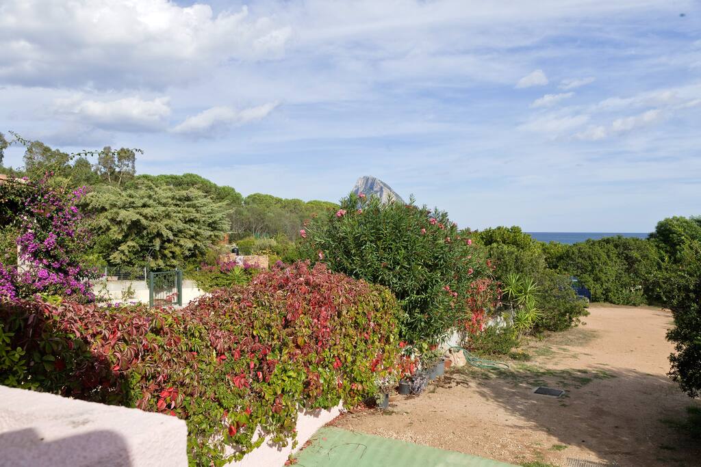 vista mare