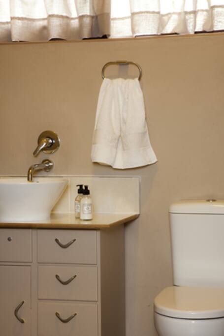Separate toilet