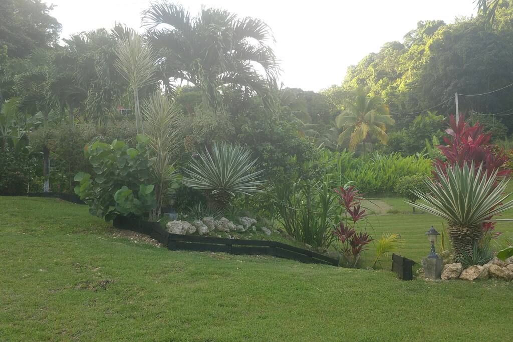 jardin