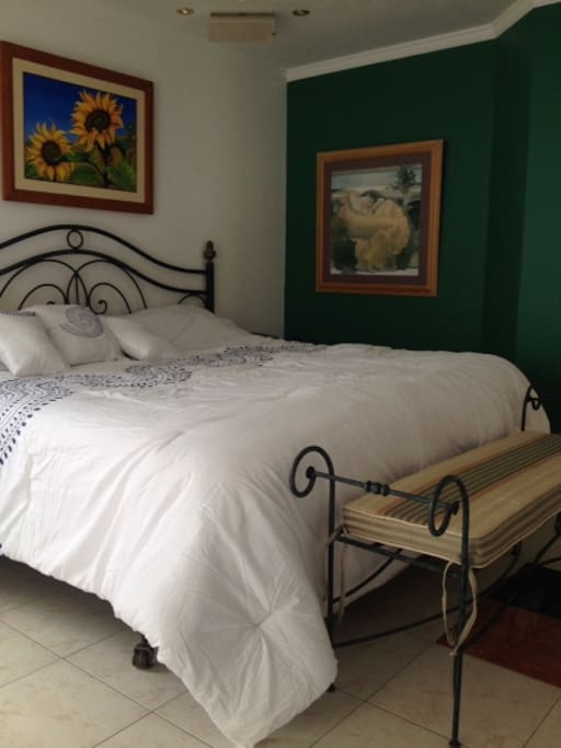 Room 1, king size bed, smart TV