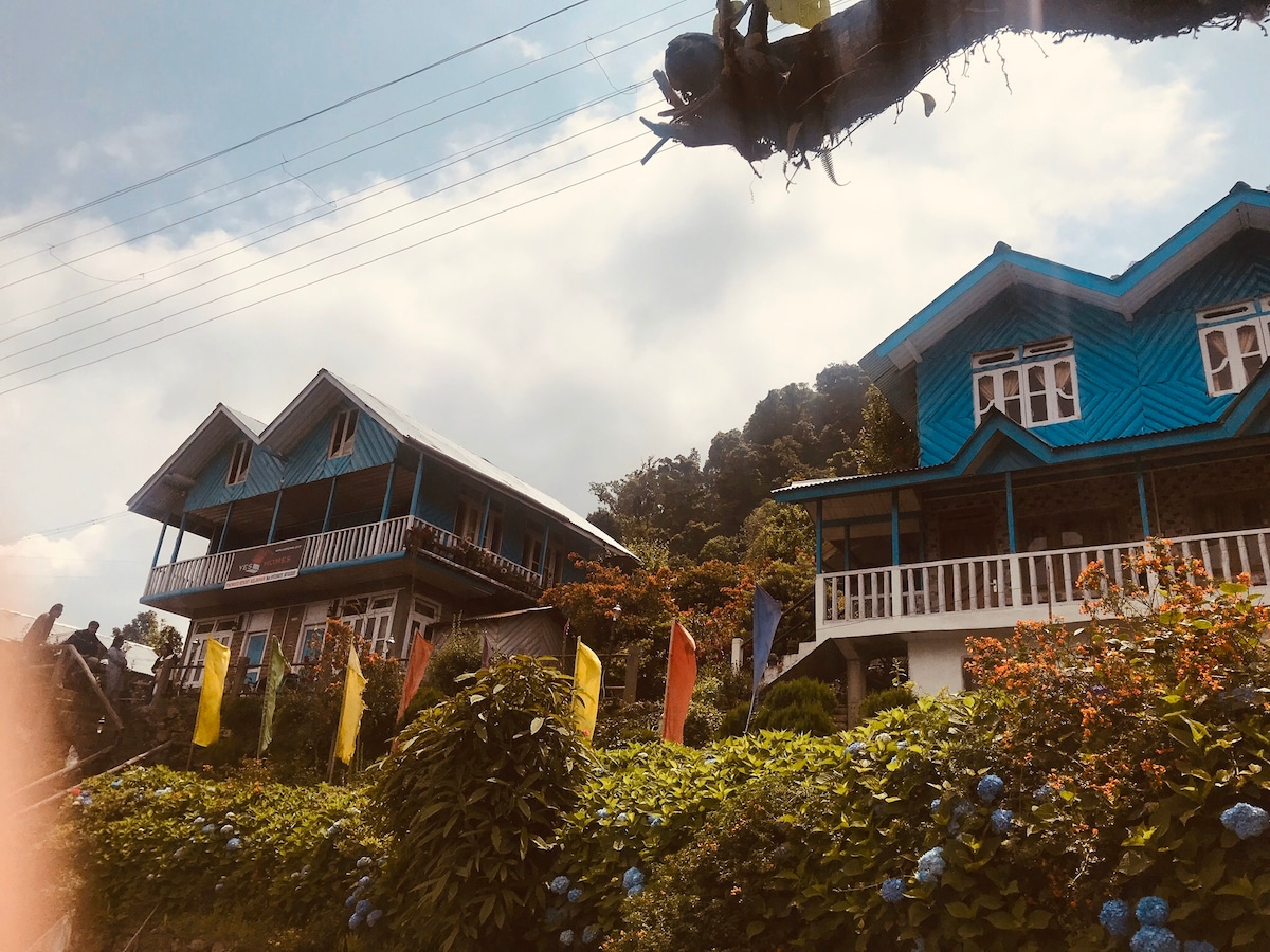 Two charming houses with blue exteriors are situated on a hillside, surrounded by lush greenery and colorful flags. The architecture features balconies and intricate details, blending with the natural landscape. A clear sky captures soft sunlight illuminating the scene.