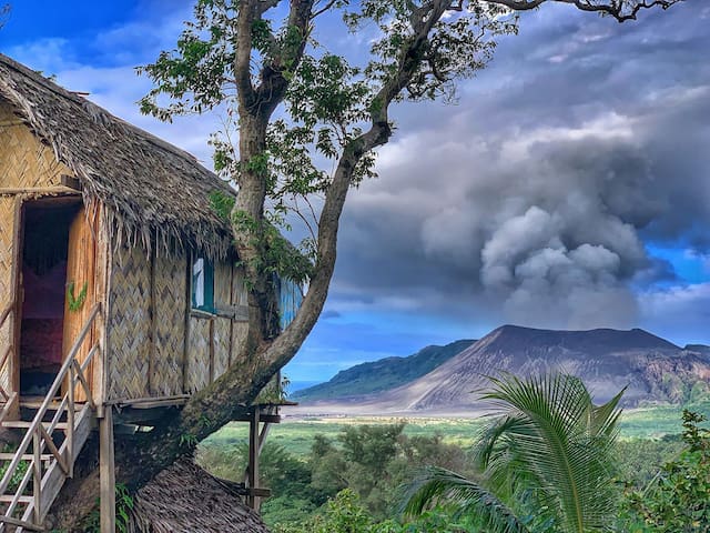 Volcano Tree Bungalow Wun
