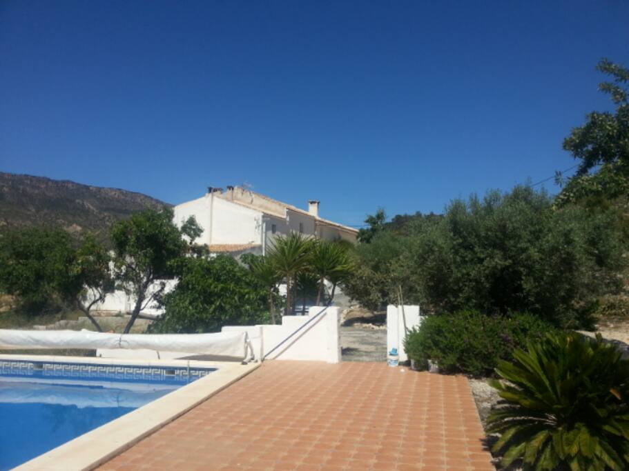 Pool shared with main house