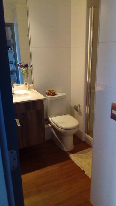 ducha con shower door