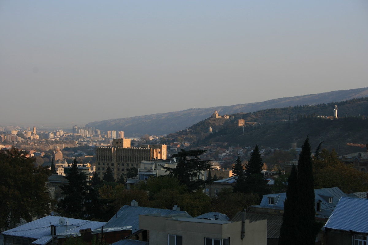 A panoramic view of Tbilisi showcases a blend of urban and natural landscapes. The distant hills are lined with trees, while the city sprawls beneath, featuring buildings with varied architecture and a hint of historical structures in the background.