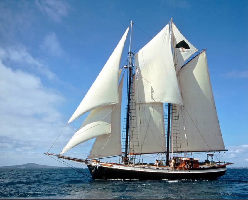 Tree of Life under full sail.