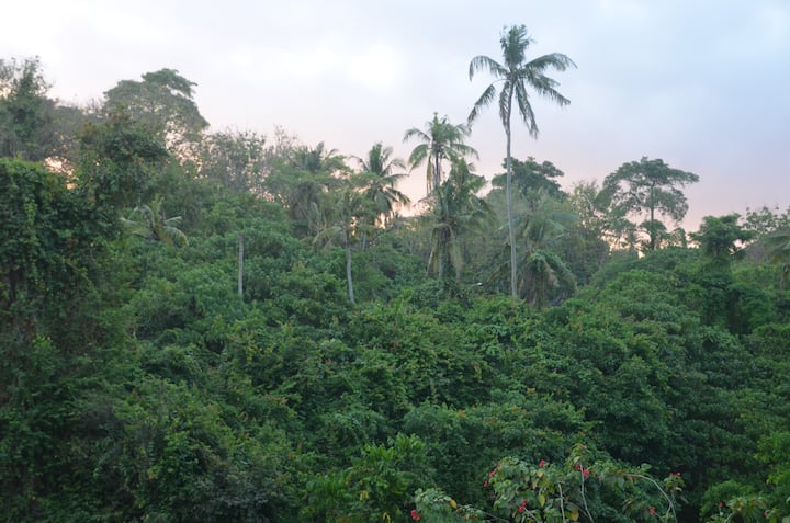 River Villa near Ubud&Green School