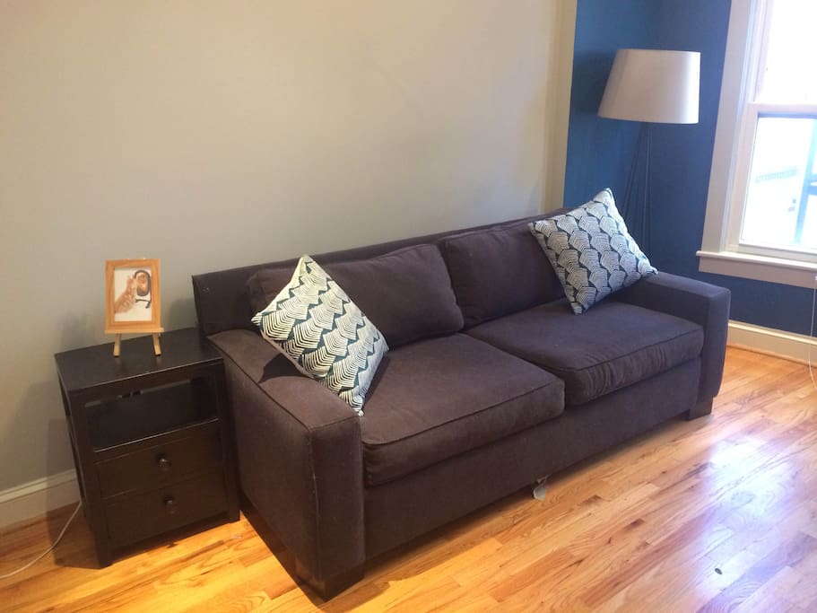 Comfy pullout couch from West Elm, no horrible bar digging into your back!