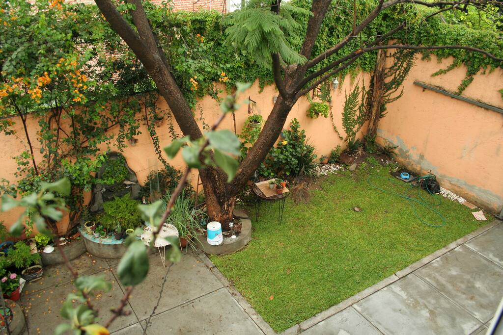 vista desde la habitación