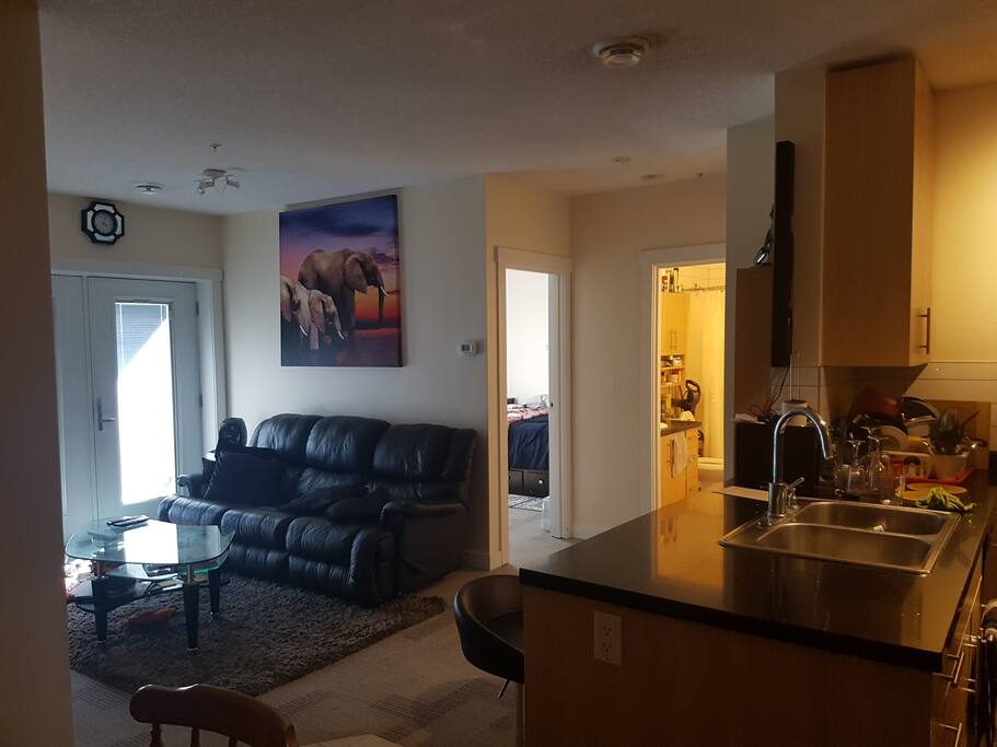 Living area and kitchen