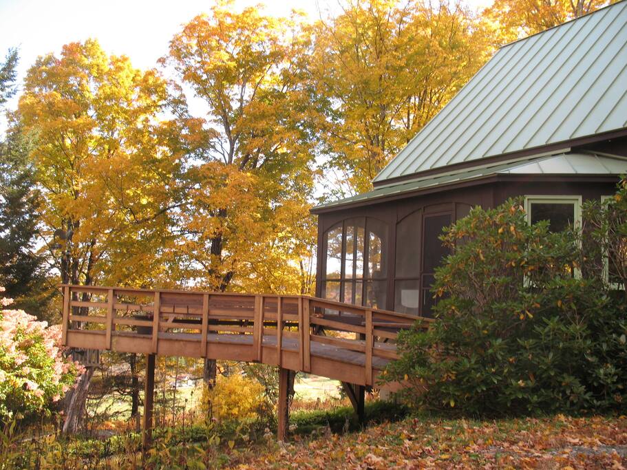 Within a maple sugar bush is the perfect place to appreciate the fall colors