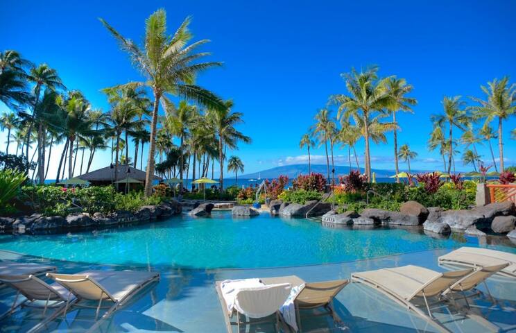 Hyatt Luxury Oceanfront (No cleaning/deposit fee!) gallery image 4