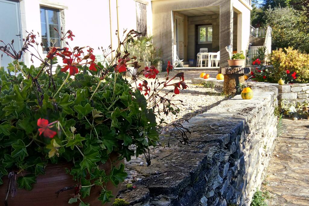 la cour en été