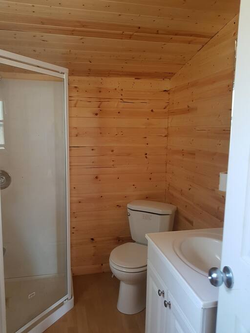 Bathroom with the stand up shower, toilet and sink with a mirror