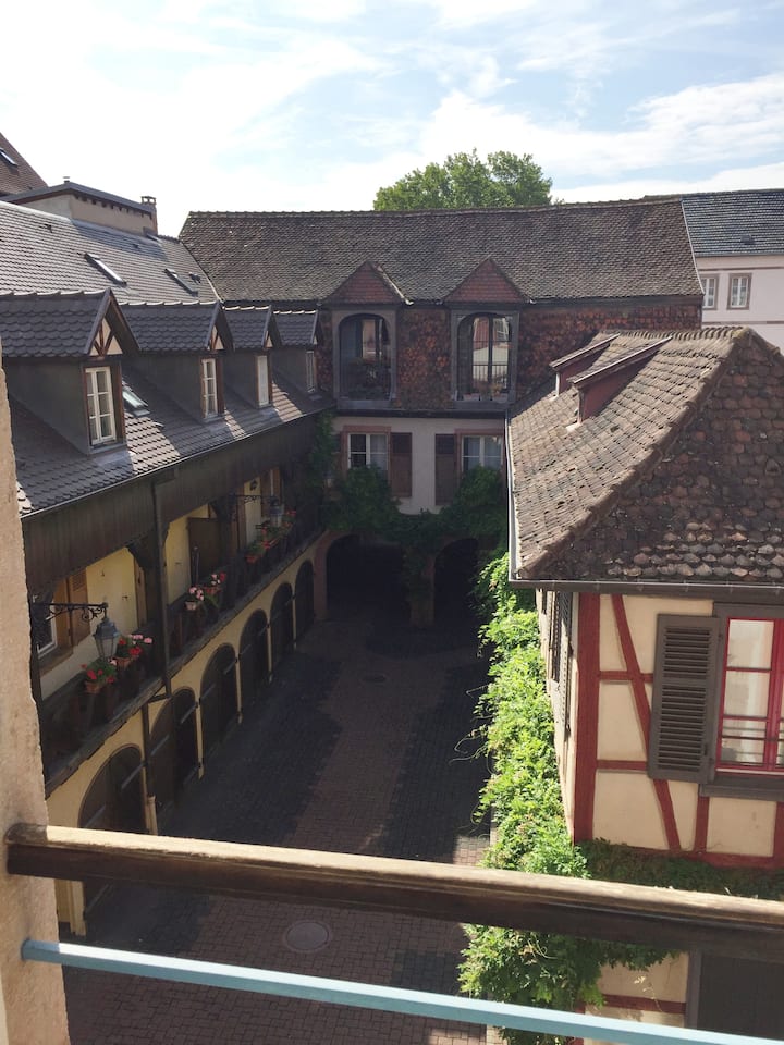 500+ Locations de Vacances à Colmar Airbnb